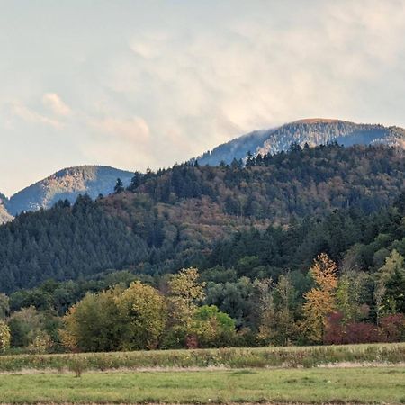 Ferienwohnung Belchenblick Staufen im Breisgau Exterior photo
