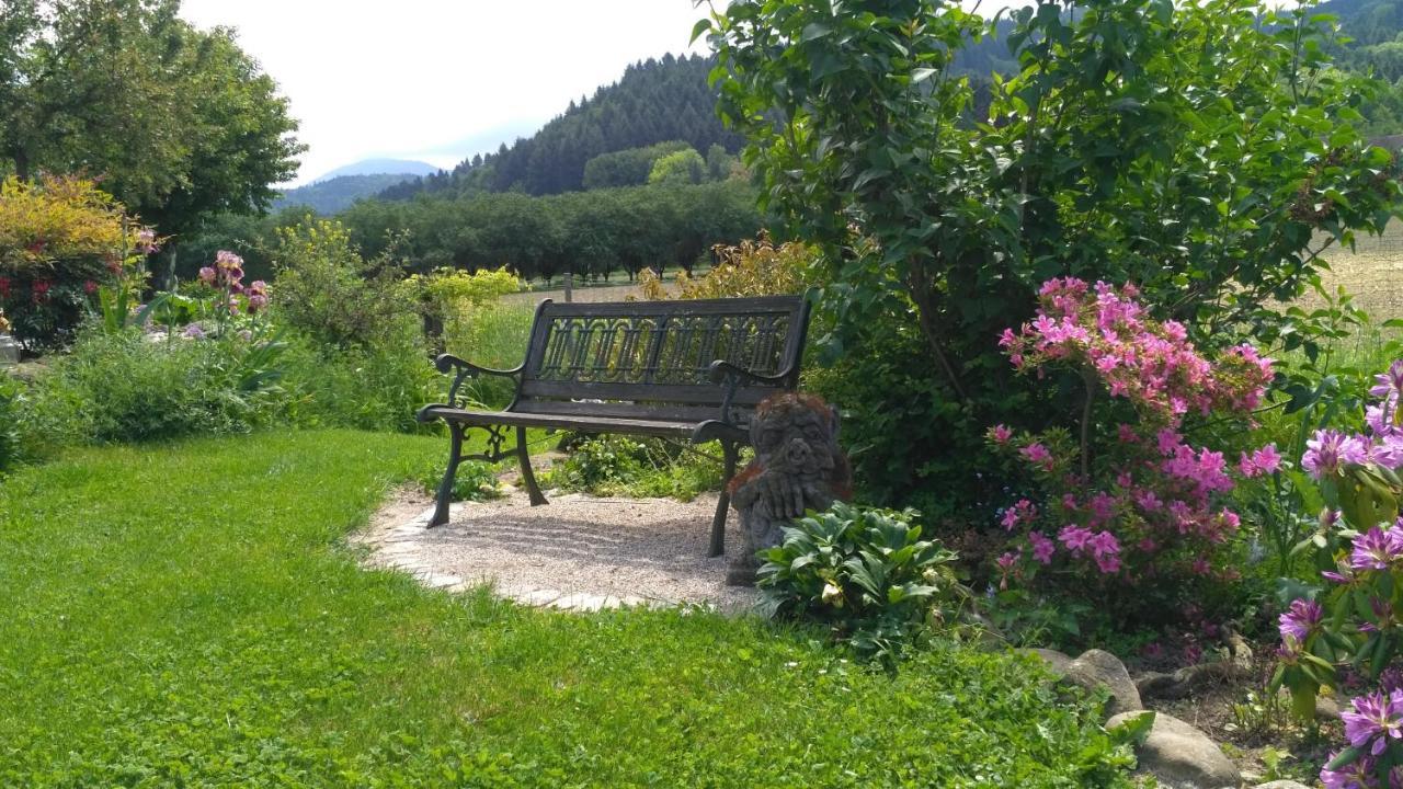 Ferienwohnung Belchenblick Staufen im Breisgau Exterior photo