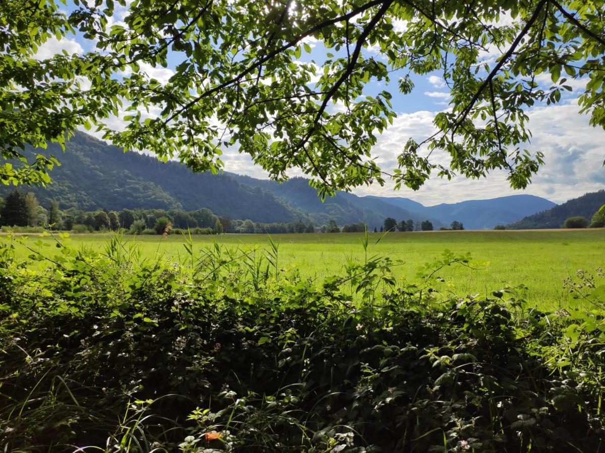 Ferienwohnung Belchenblick Staufen im Breisgau Exterior photo