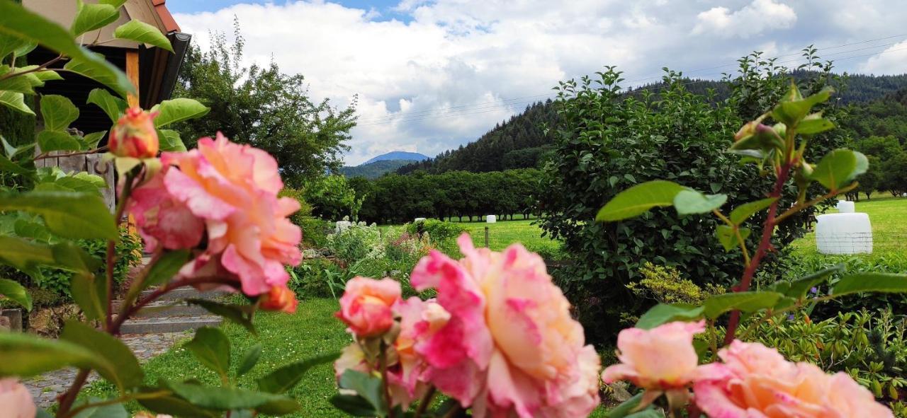 Ferienwohnung Belchenblick Staufen im Breisgau Exterior photo