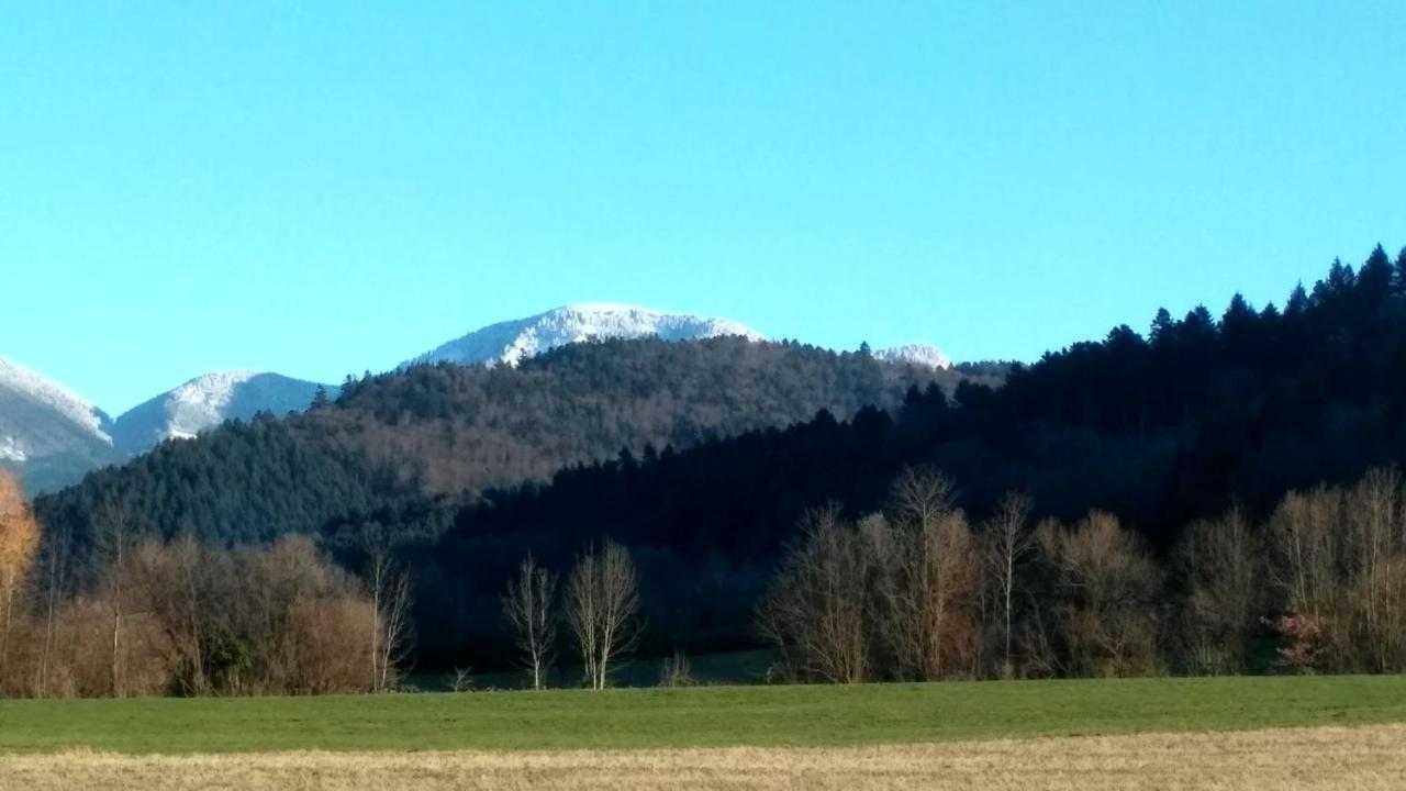 Ferienwohnung Belchenblick Staufen im Breisgau Exterior photo