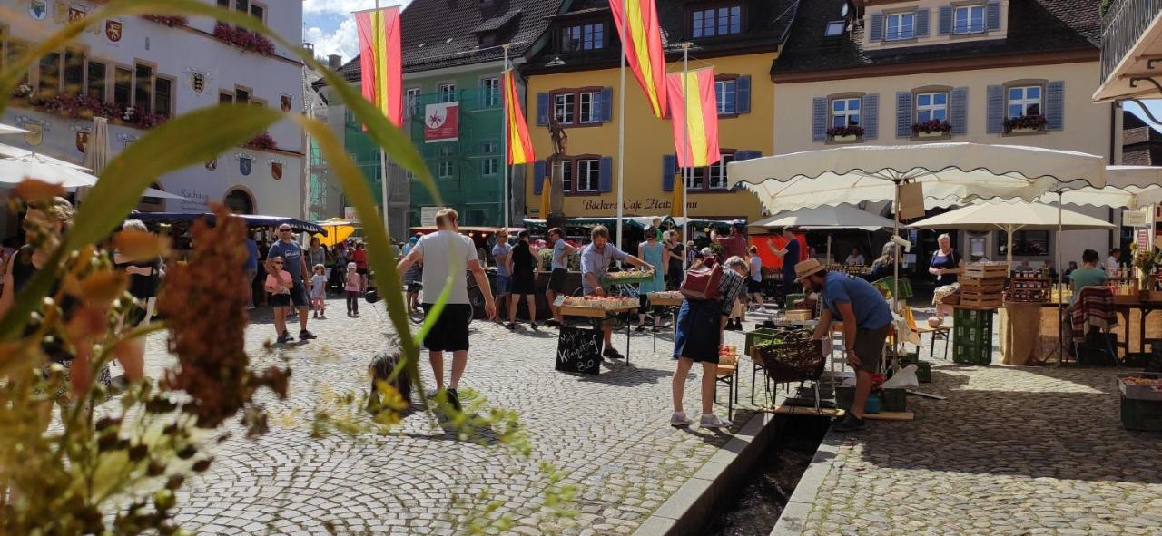 Ferienwohnung Belchenblick Staufen im Breisgau Exterior photo
