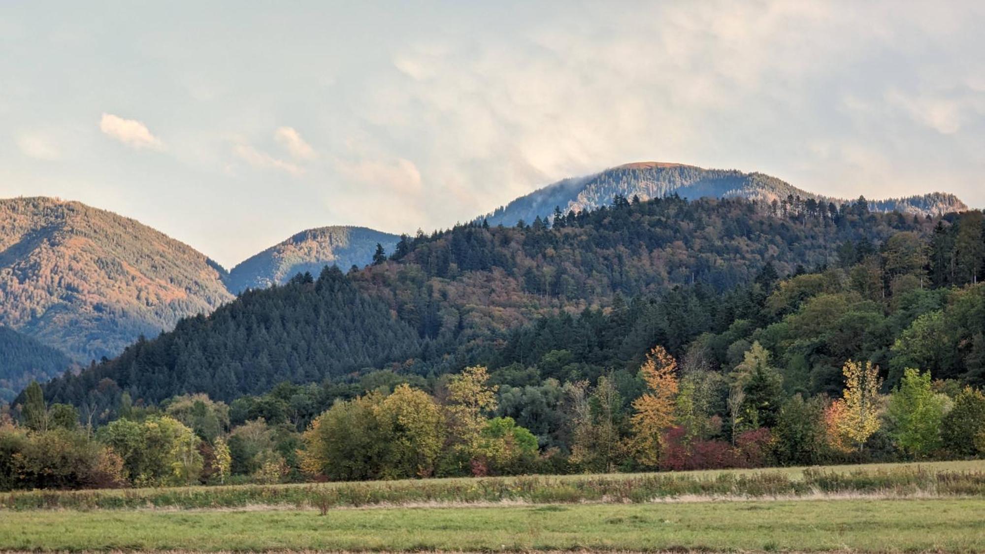 Ferienwohnung Belchenblick Staufen im Breisgau Exterior photo